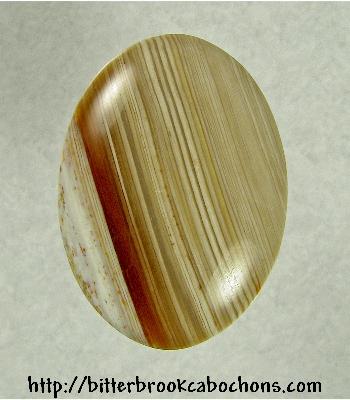 Petrified Wood Cabochon