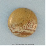 Picture Jasper Picture Jasper