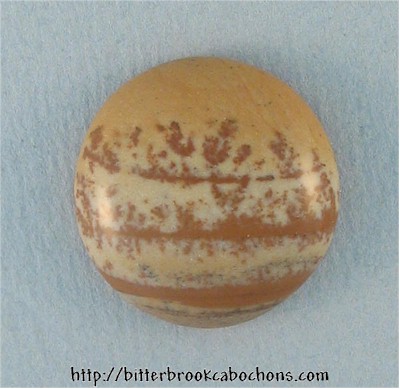 Picture Jasper