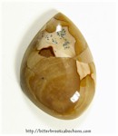 Picture Jasper Picture Jasper