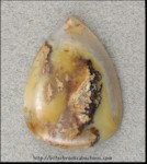 Plume Agate