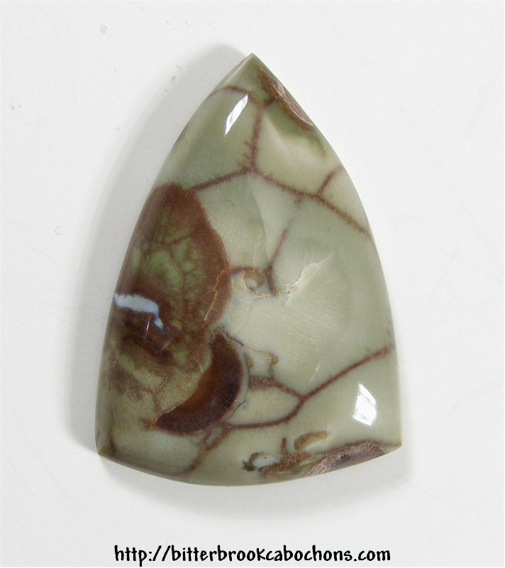 Rainforest Jasper