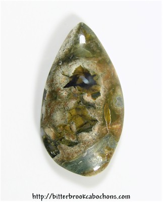 Rainforest Jasper