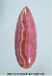 Rhodochrosite Cabochon Rhodochrosite Cabochon