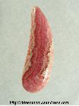 Rhodochrosite Cabochon Rhodochrosite Cabochon