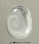 Rescue Cabochon Rescue Cabochon