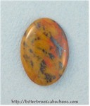 Tiger Jasper Tiger Jasper