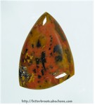 Tiger Jasper Tiger Jasper