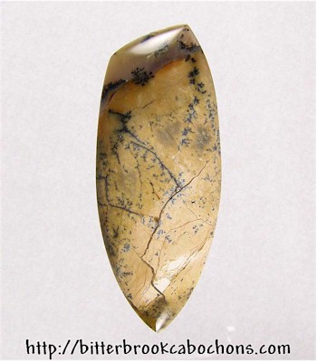 Tree Jasper Cabochon