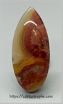 Kentucky Agate Cabochon