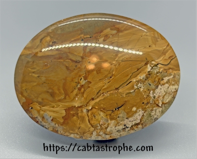 Picture Jasper Cabochon