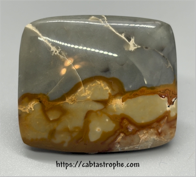 Wild Horse Picture Jasper Cabochon